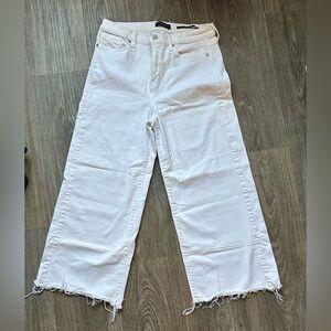 Banana Republic High Rise Wide Leg Raw Hem Cropped Jean